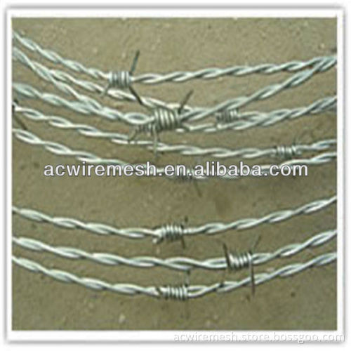 electrical galvanized barbed wire